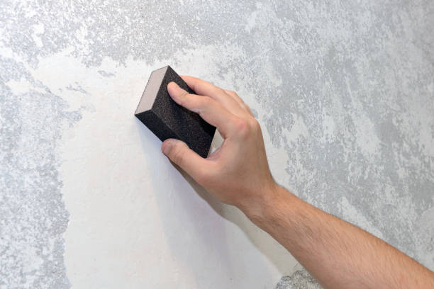 Best Crawl Space Mold Remediation  in Willacoochee, GA
