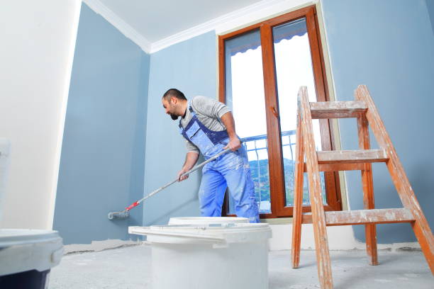 Mold Removal for HVAC Installations in Willacoochee, GA