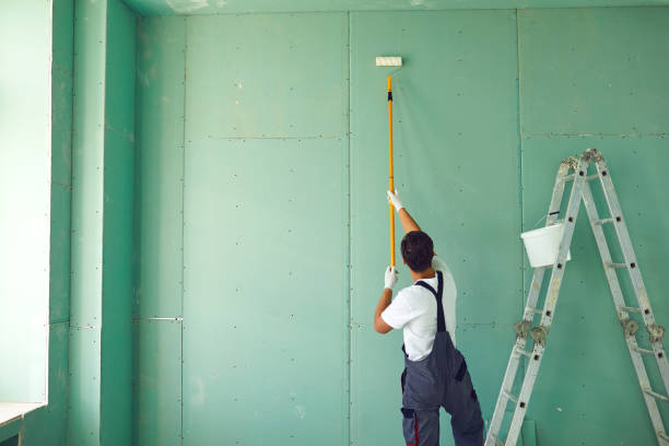 Best Water Damage & Mold Remediation  in Willacoochee, GA