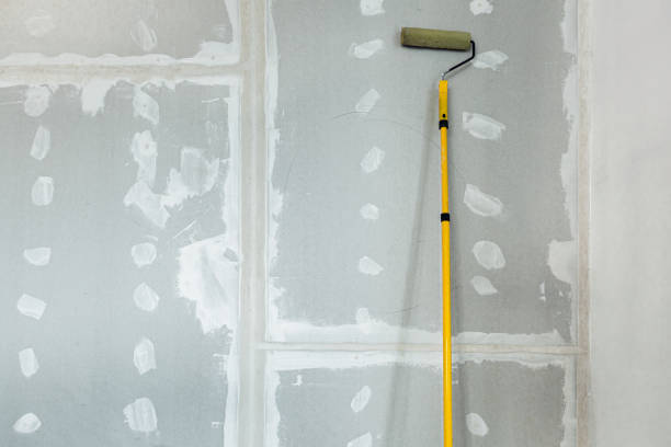 Best Black Mold Removal  in Willacoochee, GA
