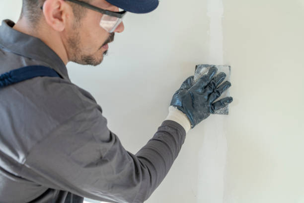Best Forensic Mold Investigation  in Willacoochee, GA