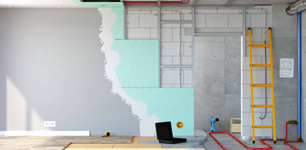 Best Attic Mold Removal  in Willacoochee, GA