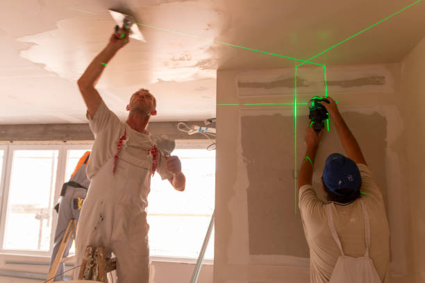Best Mold Damage Restoration  in Willacoochee, GA