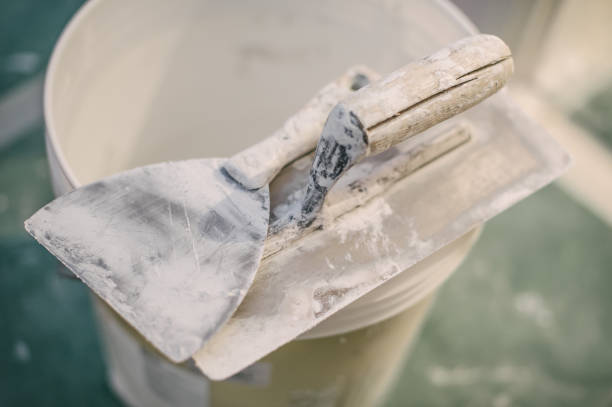 Best Basement Mold Removal  in Willacoochee, GA