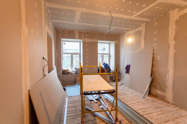 Best Real Estate Mold Inspection  in Willacoochee, GA
