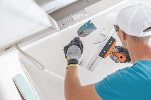 Willacoochee, GA Mold Removal Company